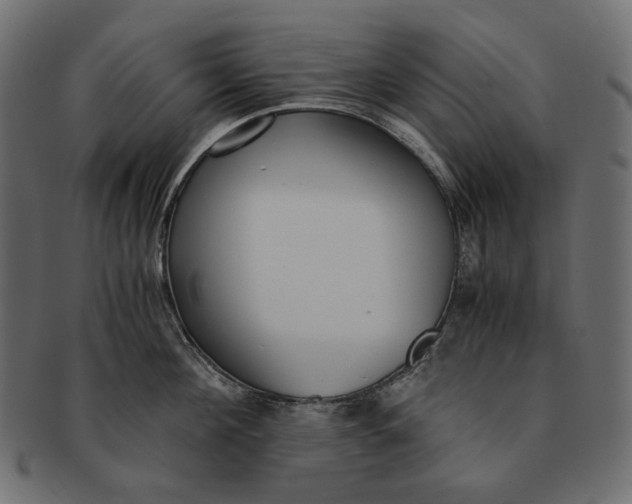 X0000091520908200709071014