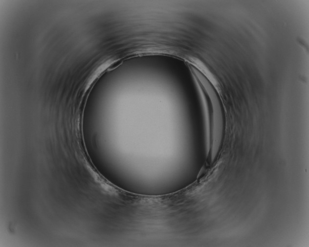 X0000091520909200709071014