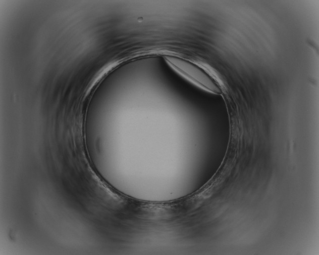 X0000091520910200709071014