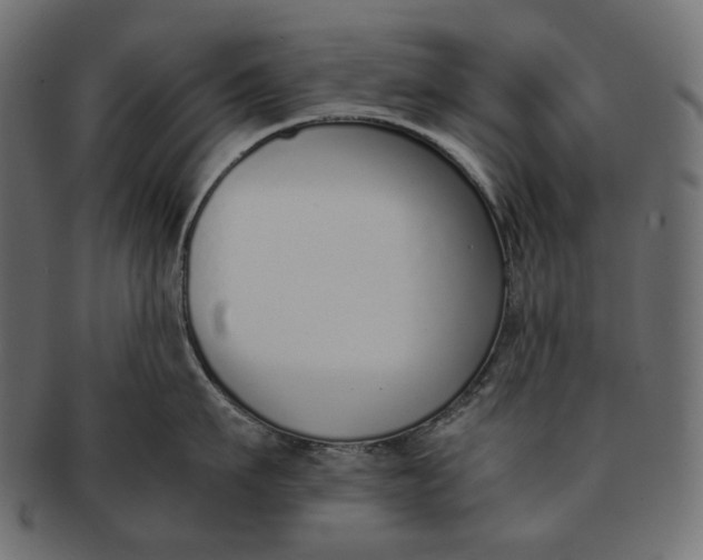 X0000091520911200709071014