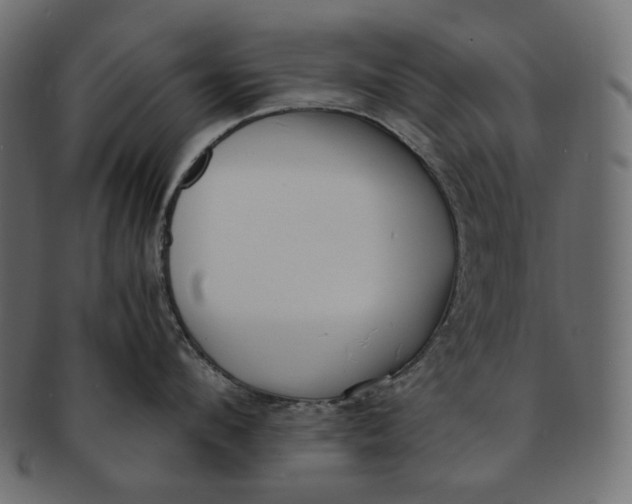 X0000091520912200709071014