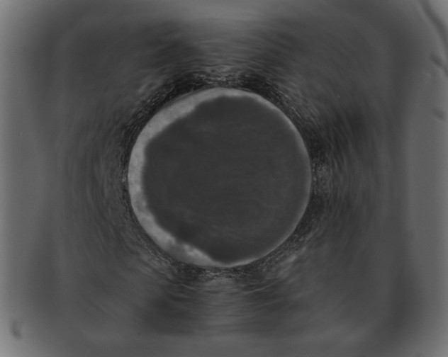 X0000091520913200709071013