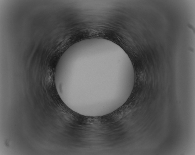 X0000091520914200709071013