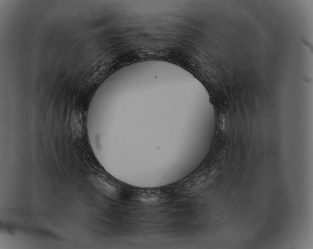 X0000091520915200709071013