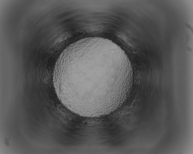 X0000091520917200709071013