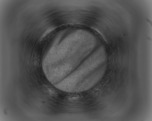 X0000091520919200709071013