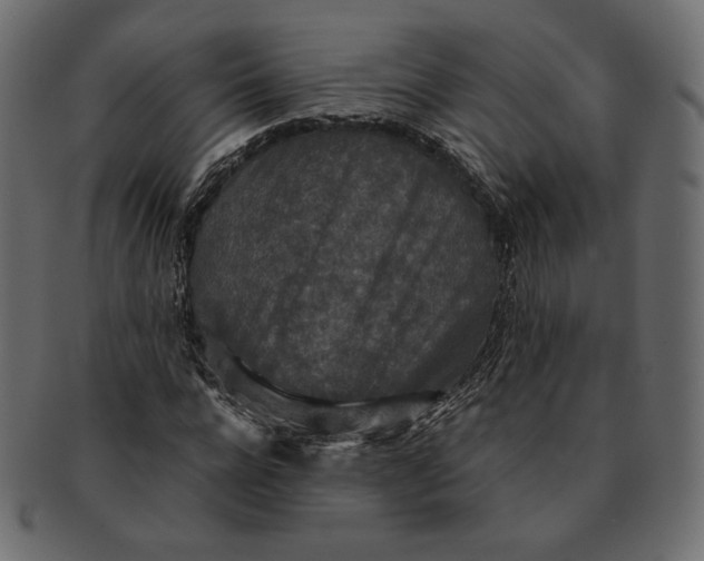 X0000091520920200709071013