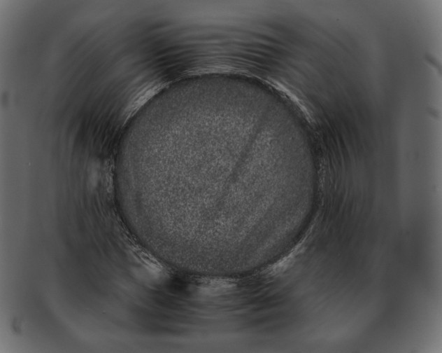 X0000091520921200709071013