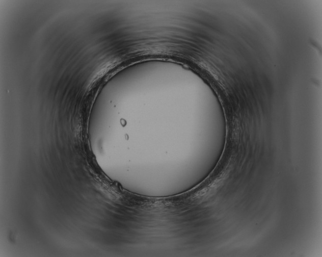 X0000091520922200709071013