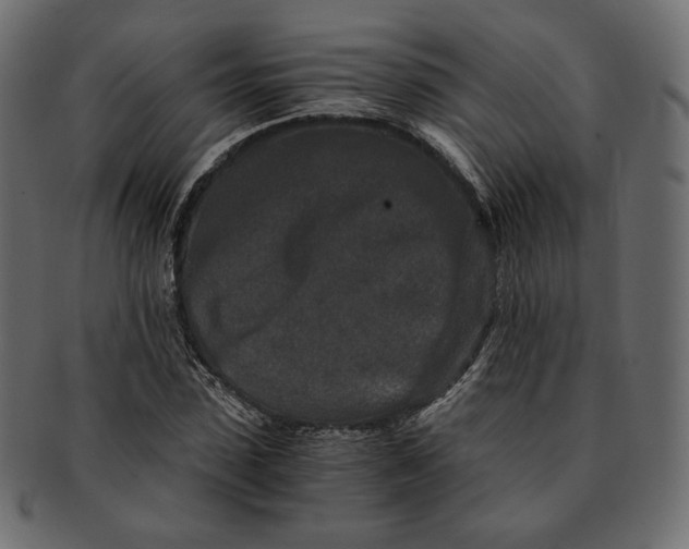 X0000091520923200709071013