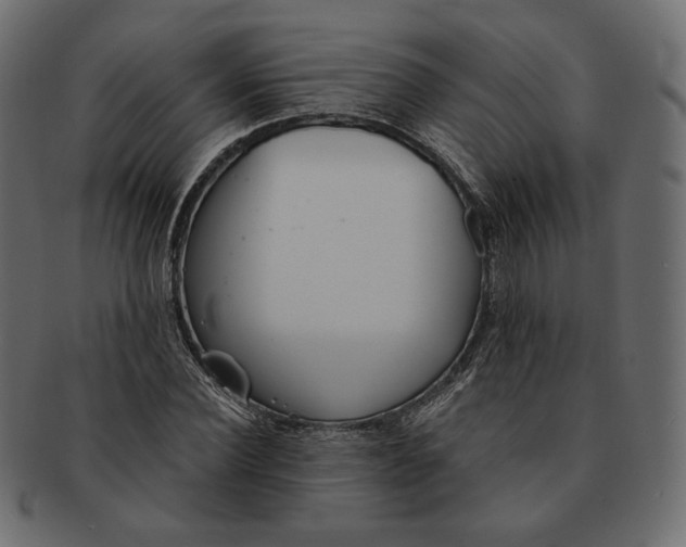 X0000091520924200709071013