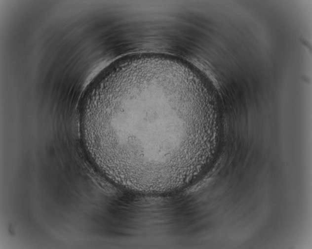 X0000091520925200709071013