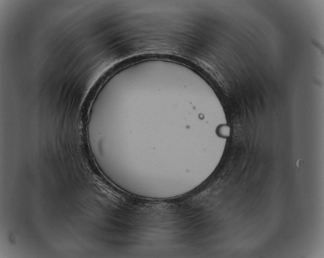 X0000091520926200709071013