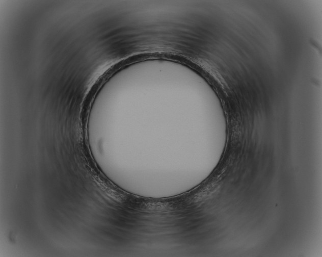 X0000091520927200709071013