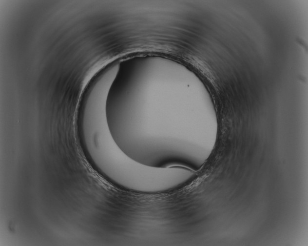 X0000091520928200709071013