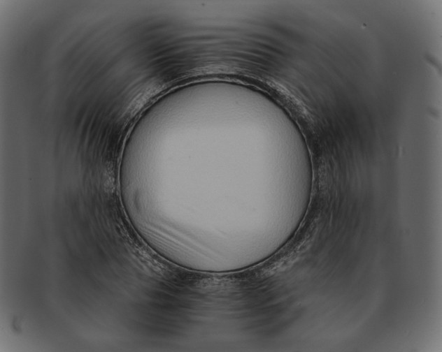 X0000091520929200709071013