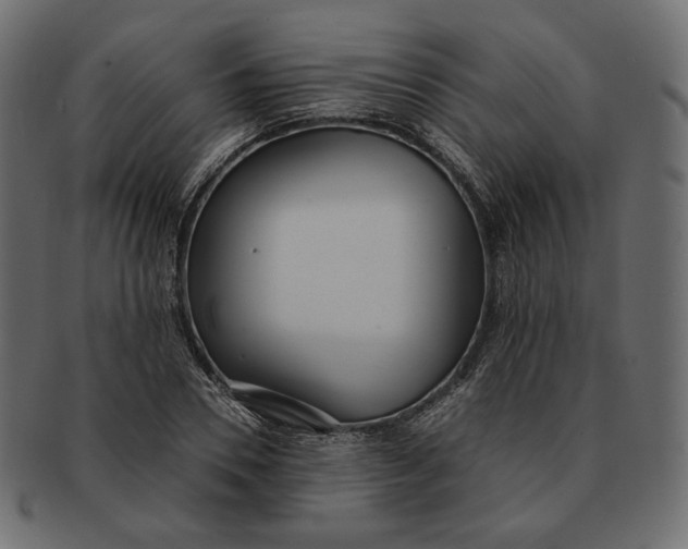 X0000091520930200709071013