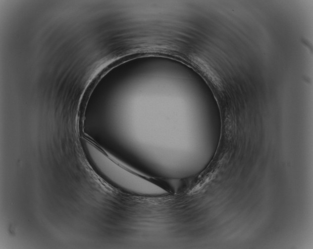 X0000091520932200709071013