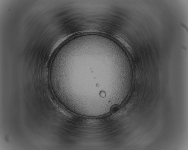 X0000091520933200709071013