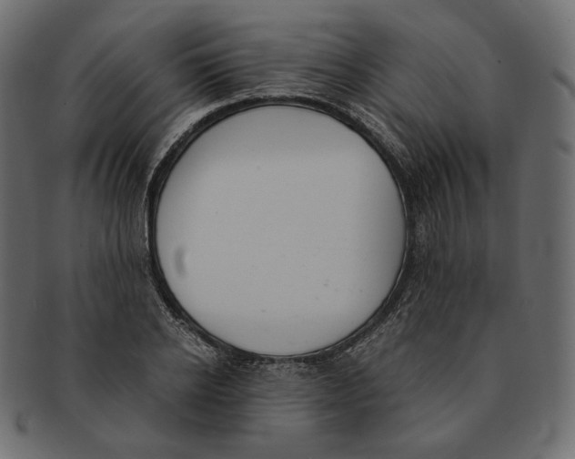 X0000091520934200709071013