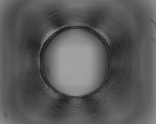 X0000091520935200709071013