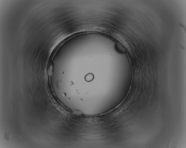 X0000091520936200709071013