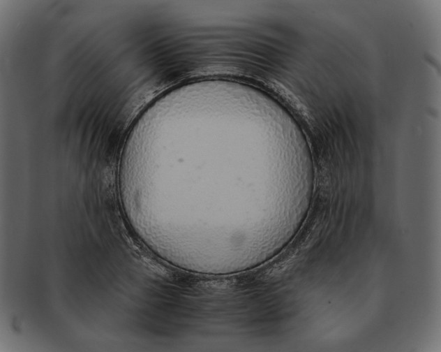 X0000091520937200709071013