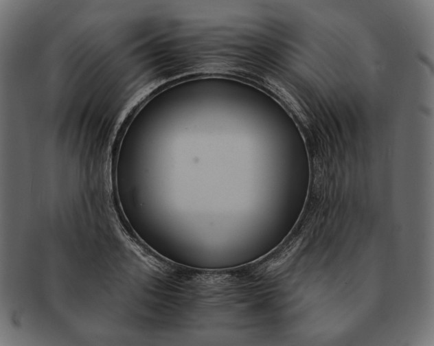 X0000091520939200709071013