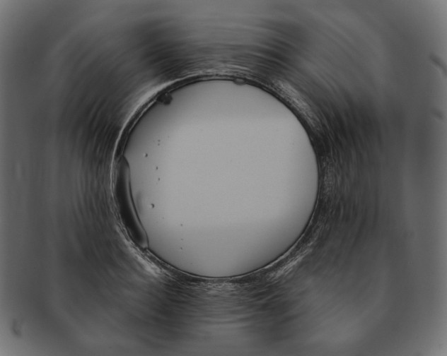 X0000091520940200709071013