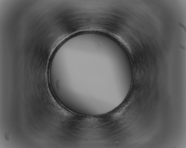 X0000091520943200709071013