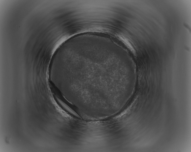 X0000091520944200709071013