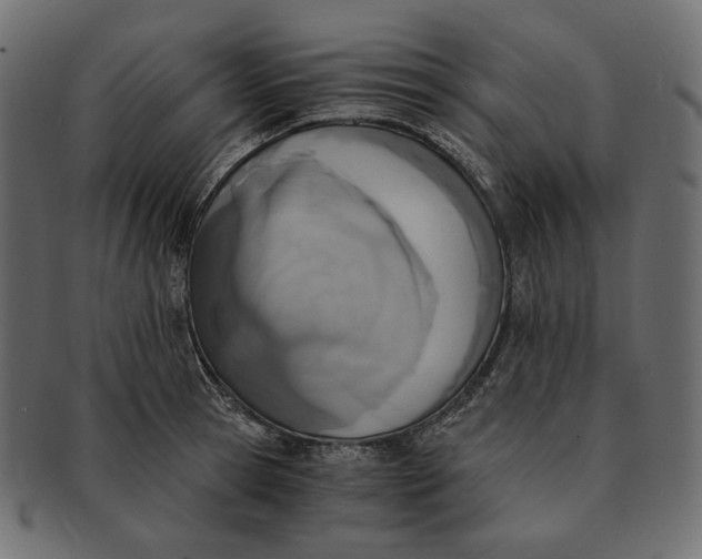 X0000091520945200709071013