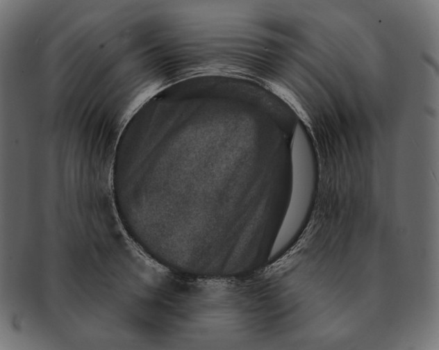 X0000091520946200709071013