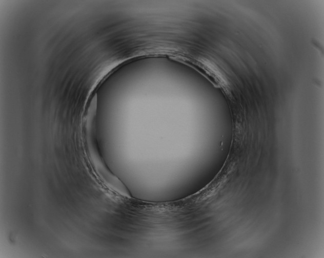 X0000091520948200709071014