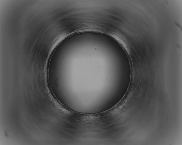 X0000091520949200709071014