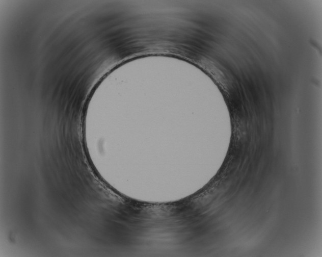 X0000091520950200709071014