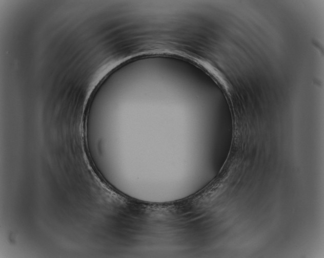 X0000091520951200709071014