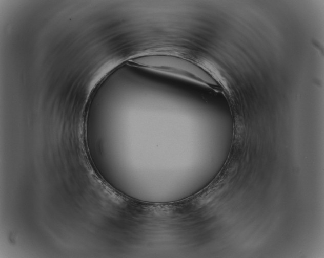 X0000091520952200709071014