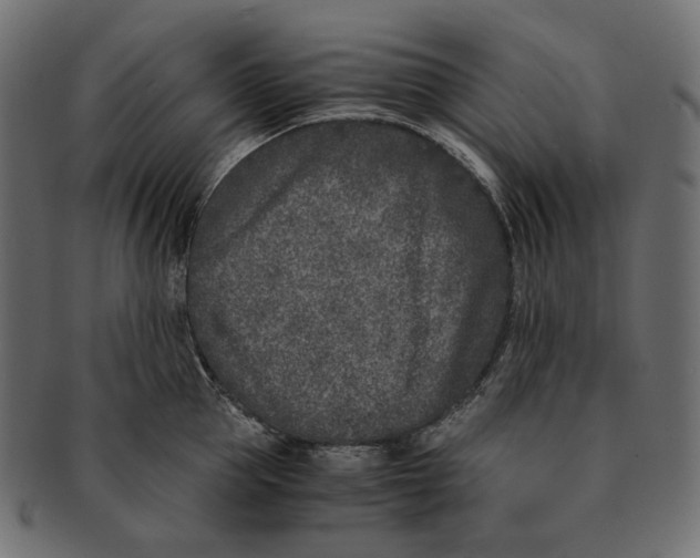 X0000091520953200709071014