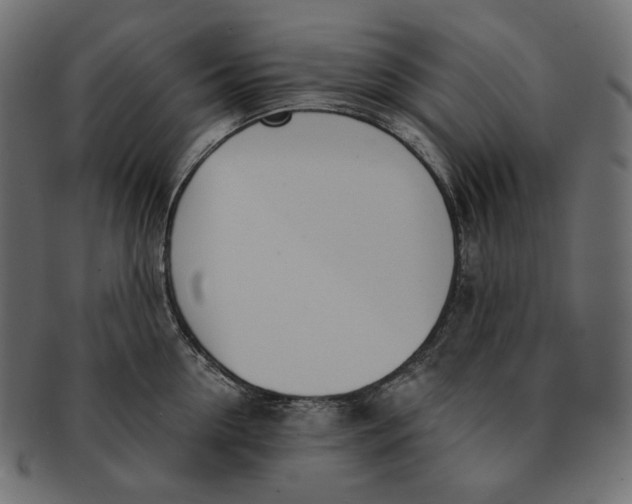 X0000091520954200709071014