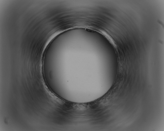 X0000091520955200709071014