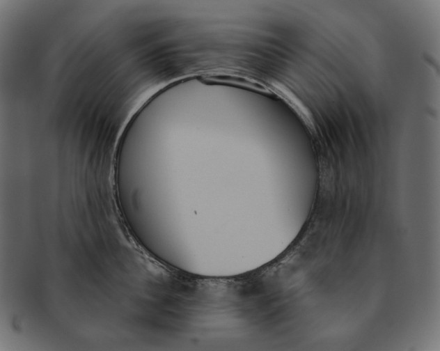 X0000091520956200709071014