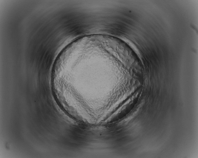 X0000091520957200709071014