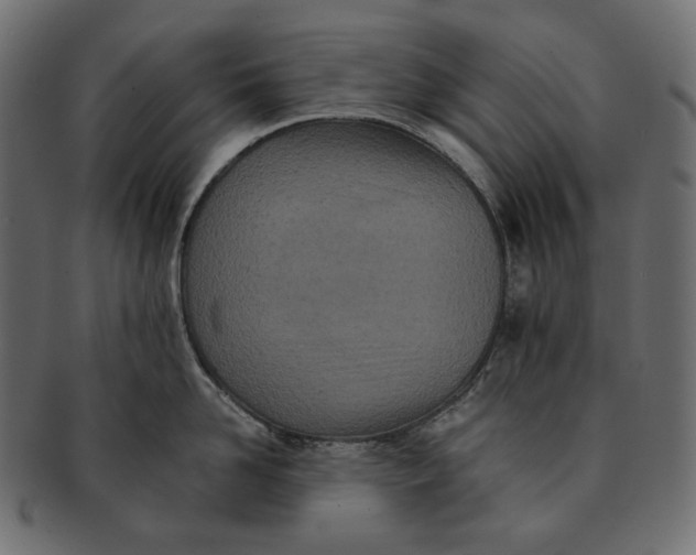 X0000091520958200709071014