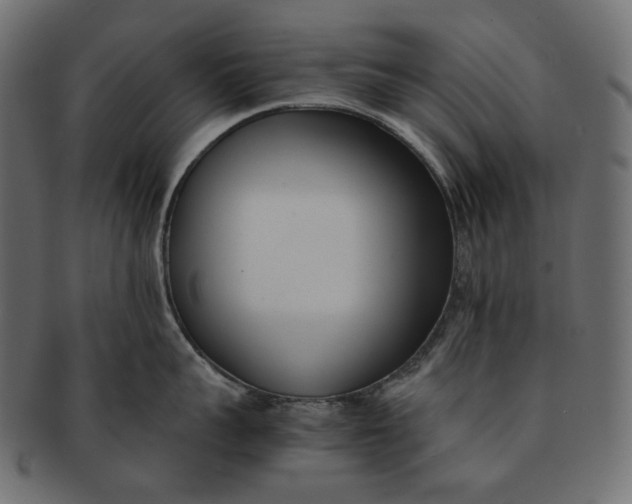 X0000091520959200709071014