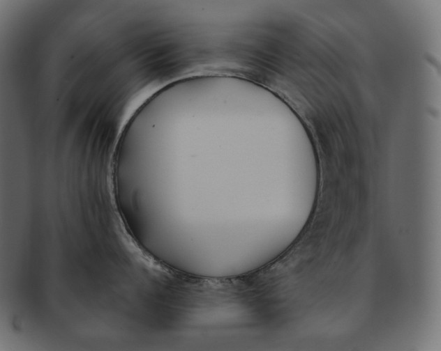 X0000091520960200709071014