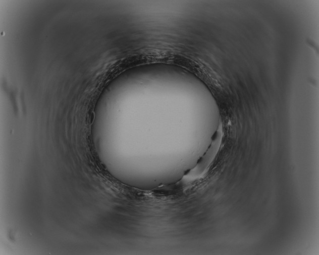 X0000091520961200709071013