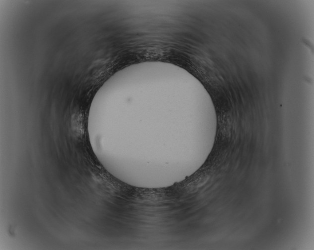 X0000091520962200709071013