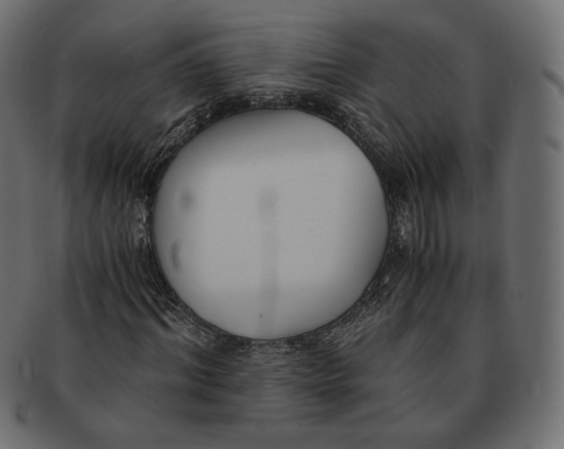 X0000091520964200709071013