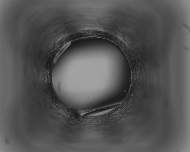 X0000091520965200709071013